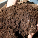 Soil